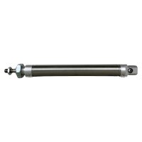 FESTO DSNU-25-160-PPV-A 19250 Normzylinder Zylinder