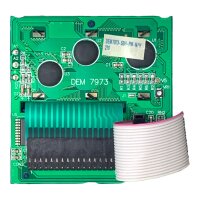 SET Inhalt 2 Stk! Frigolink HKS001B Hauptmodul