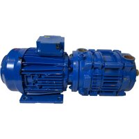 Speck Pumpen VZ-50-55.0001 27845 Vakuumpumpe
