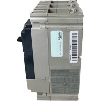 Merlin Gerin NS100N Leistungsschalter 29003 Ohne Zubehör