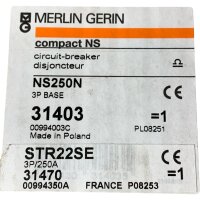 Merlin Gerin NS250N 31403 Leistungsschalter