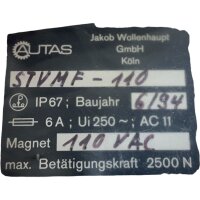 AUTAS STVMF-110  Sicherheitsschalter