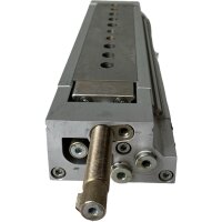 FESTO DGSL-20-100-Y3A 544027 Pneumatik-Schlitten
