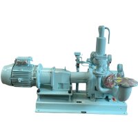 BÖRGER CL 520 Pumpe Drehkolbenpumpe Garbarino