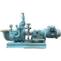 BÖRGER CL 520 Pumpe Drehkolbenpumpe Garbarino