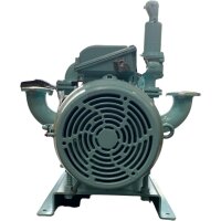 BÖRGER CL 520 Pumpe Drehkolbenpumpe Garbarino