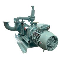 BÖRGER CL 520 Pumpe Drehkolbenpumpe Garbarino