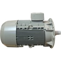 Siemens 1AV3164B 1 LE0031DB434FB4 Drehstrom-Asynchronmotor