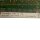4885.01.004 CPU-Modul
