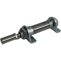 FESTO ESNU-25-25-P-A 19270 Normzylinder