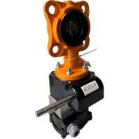 Eurovalve ITS-100 EVBS DN50 PN16 JS1030 5842 Absperrventil Ventil