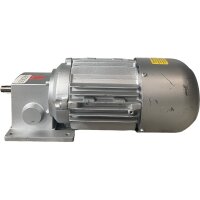 Ruhrgetriebe GCS67/30-SN5 Motor 0,20kW