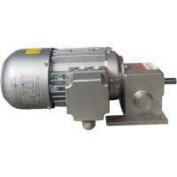 Ruhrgetriebe GCS67/30-SN5 Motor 0,20kW