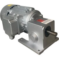 Ruhrgetriebe GCS67/30-SN5 Motor 0,20kW