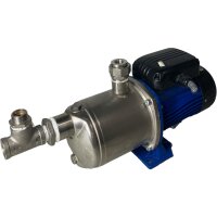 Lowara SM63HM-305 Pumpe