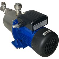 Lowara SM63HM-305 Pumpe