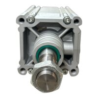 Festo  DNC-125-30--PPV-A Zylinder Normzylinder  163496