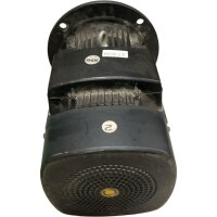 Grundfos 132SB2-38FF265-B Elektromotor