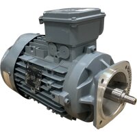 Getriebebau Nord SK 100LP/4 TF Elektromotor