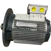 ATB VAFU 100L/2C-11 Hochdrehzahl-Drehstrommotor 268920301-18