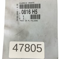 PSA Group 0816 H5 Zahnriemen