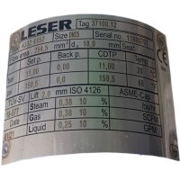 LESER 4332.4152 Flansch Sicherheitsventile Ventil