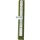 Pilz P10-DIO 304107 Digital In-Output 2A