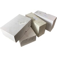 Euchner TZ2LE024M Sicherheitsschalter