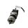 QMot.eu QSH 4218-51-10-049 336990  Schrittmotor