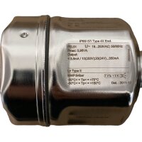 Endress+Hauser Liquiphant M FTL51-DGR2DB1G6A Füllstandsschalter