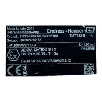 ENDRESS+HAUSER TR13-GBA1ADSCHA100 Widerstandsthermometer