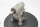 Bonfiglioli VF 62/P Schneckengetriebe i=38 getriebe getriebemotor gearbox