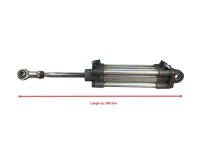 Rexroth FD: 10W26 R 480 062 547 Pmax 10 bar Zylinder