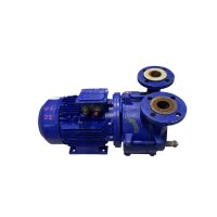 Speck Pumpen  V155-GRD-55J Vakuumpumpe 4kw Flüssigkeitsring