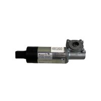 Dunkermotoren GR63X55 DC-Motor mit Schneckengetriebe