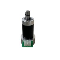 Maxon Motor 426330 DC-Motor