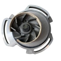 QH 9880 000 060 Wasserpumpe für Audi/VW QCP986 MCP986