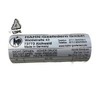 Hahn-Gasfedern 8111 001 028 Gasfeder Z10-28ST Zugfeder...