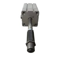 Festo ADN-63-80-ELV-A-P-A Kompaktzylnder 548219