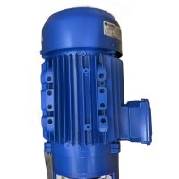 Lowara SVI411/11S22T/D Vertikale Kreiselpumpe 104540590 PLM90B14/322 E3