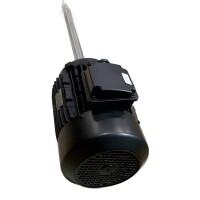 Knoll AMPH 132S TA2 Drehstrommotor 255270 7,5 kw 2920 min./3520 min. L660 B40