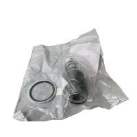 Atlas Copco 2901-0074-00 Original-Thermostat-Kit für GA75