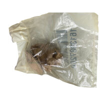 Atlas Copco Service Kit  1613987200