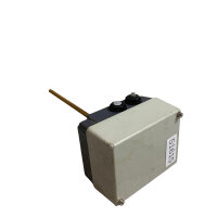 JUMO AMTHF-233 TN 60002767 Aufbauthermostat