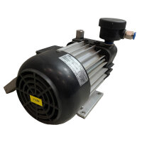 Rietschle VTE 6 ölfreie Drehschieber-Vakuumpumpe