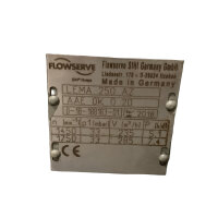 Flowserve SIHI Flüssigkeitsring-Vakuumpumpe LEMA 250 AZ AAE 0K 0 2D