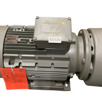 LEMA 250 AZ AAE 0K 0 2D Flowserve SIHI...