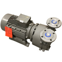 LEMA 250 AZ AAE 0K 0 2D Flowserve SIHI Flüssigkeitsring-Vakuumpumpe