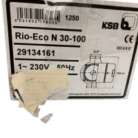 KSB Rio-Eco N 30-100 29134161 Umwälzpumpe