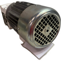 Sumitomo 0,75 KW RNYM1-1320-B-5 Induktionsgetriebemotor Gearbox